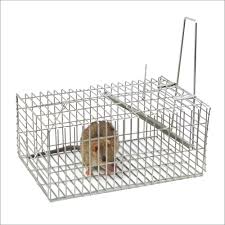 Rat Trap