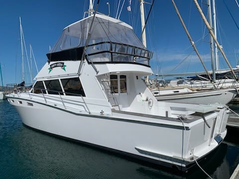 Boat after a yacht delivery in New Zealand