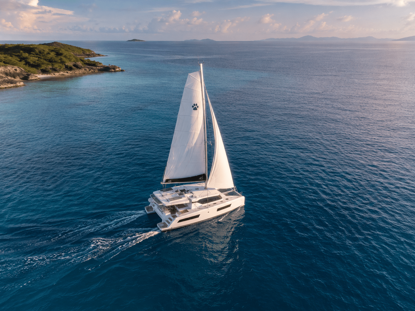 leopard catamaran delivery